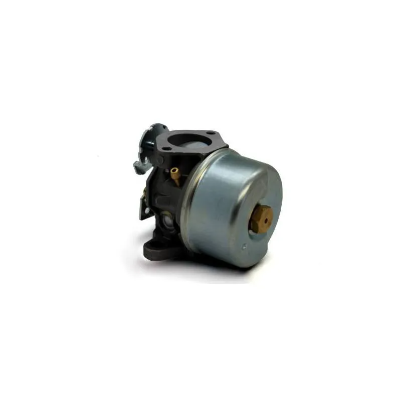 Carburador para motor Tecumseh 5HP MTD